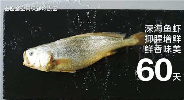 60天！海尔麦浪冰箱助力开海节爱游戏(ayx)海鲜保鲜期延至(图2)